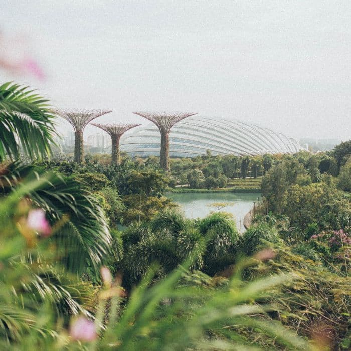 Social Responsability