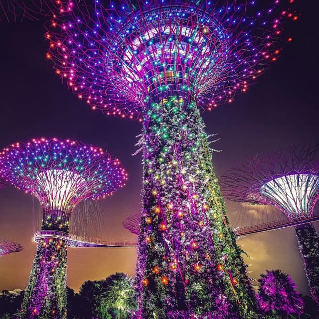 Research and Innovation Scheme for Companies RIS(C)